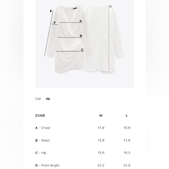 Zara Balloon Skirt Dress - Picture 6 of 6